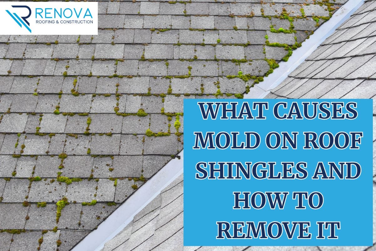 What Causes Mold On Roof Shingles And How To Remove It