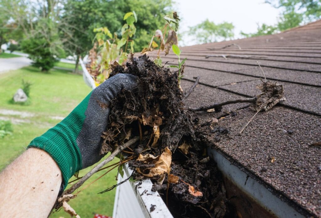 Clean Gutters Regularly