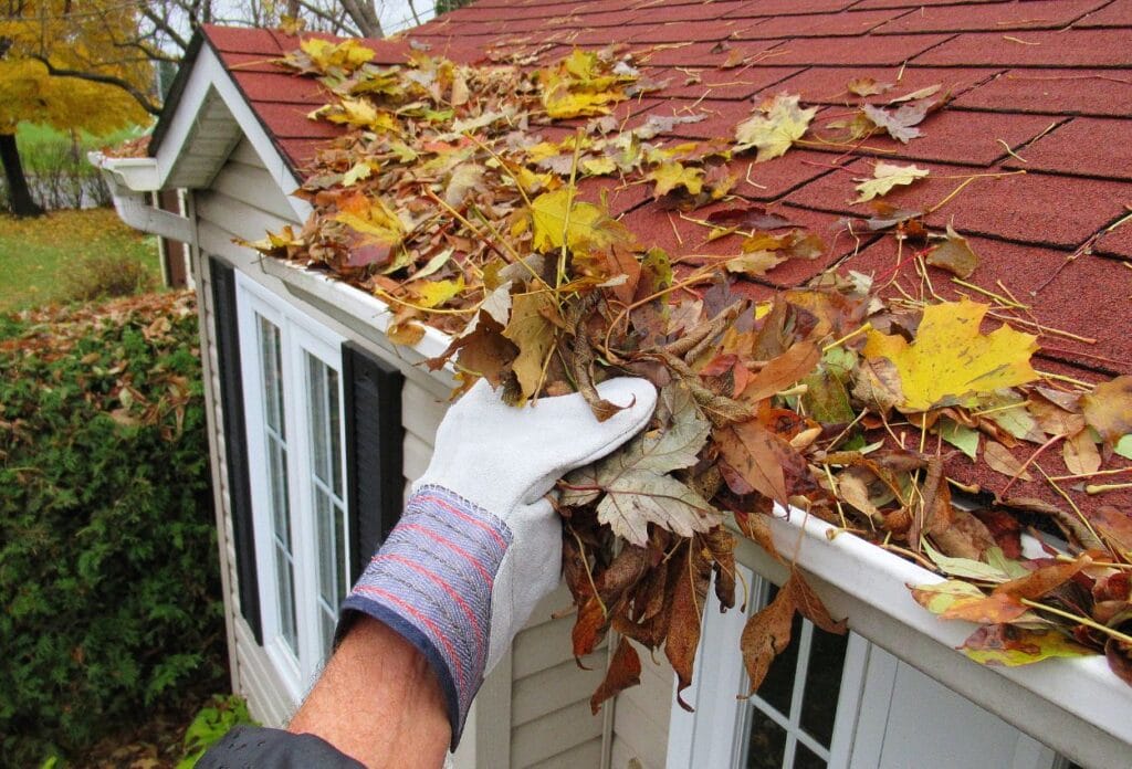 Clogged Gutter 