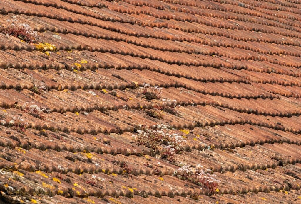 Sagging Roof